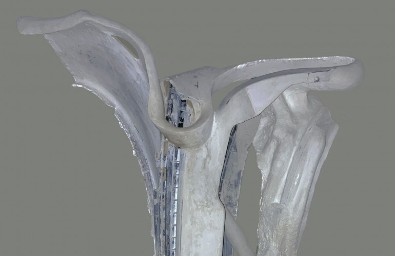 Image represents CROSSBREEDS...